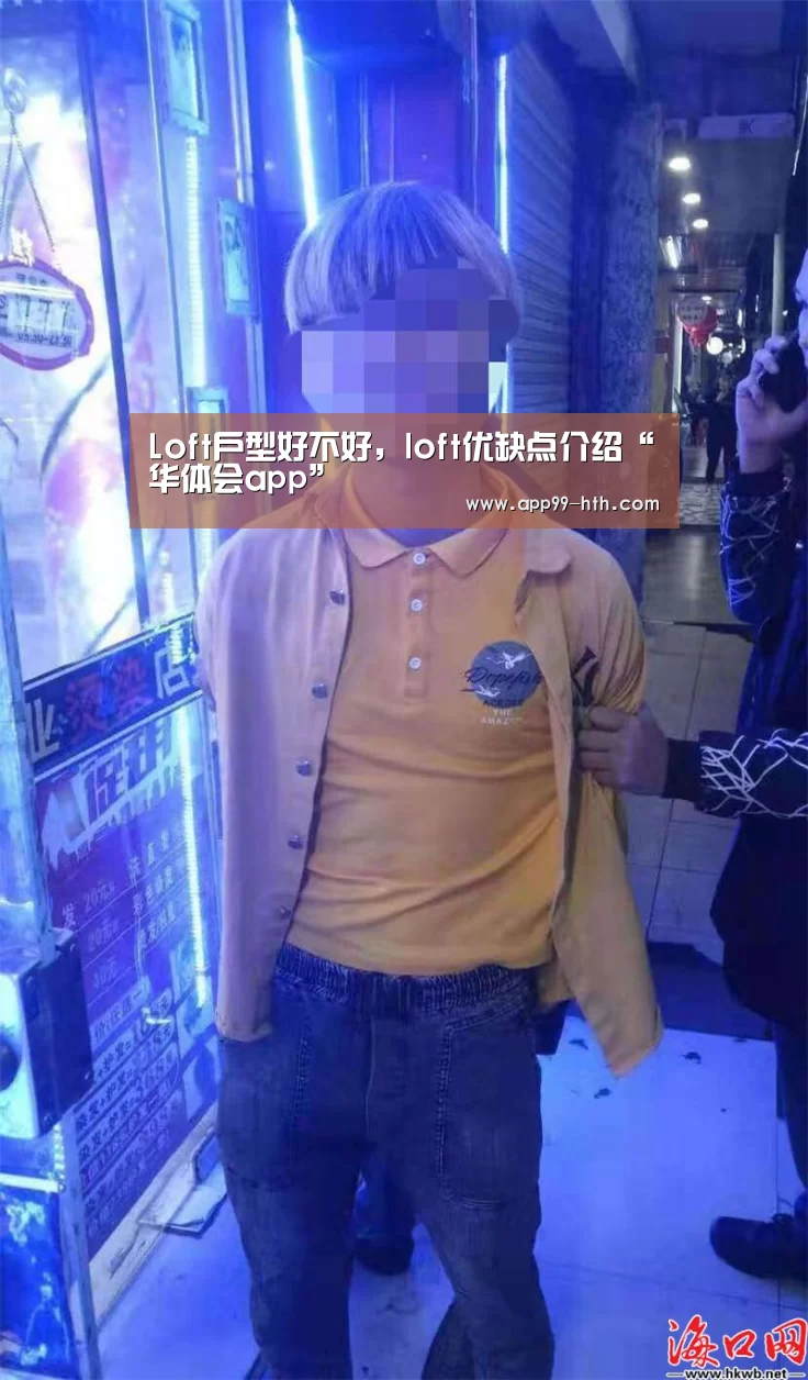 Loft户型好不好,loft优缺点介绍“华体会app”(图2) 华体会