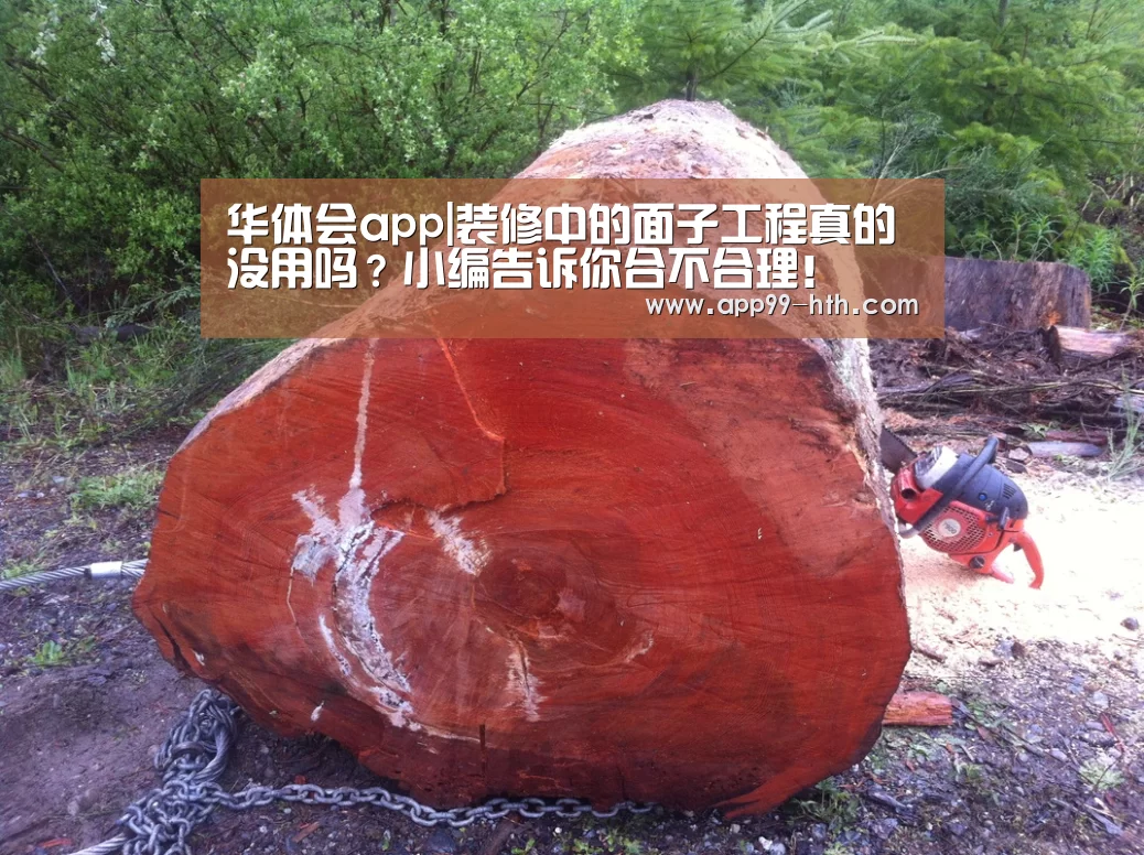 华体会app