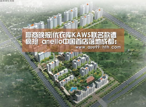 赢商晚报|优衣库KAWS联名款遭疯抢 anello中国首店落地成都:华体会(图1) 华体会