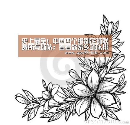 史上最全!中国四个级别足球联赛所有球队:看看你家乡球队排第几‘华体会’(图2)
史上最全!中国四个级别足球联赛所有球队:看看你家乡球队排第几‘华体会’(图2)