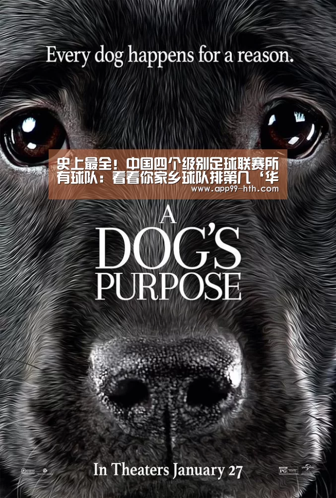史上最全!中国四个级别足球联赛所有球队:看看你家乡球队排第几‘华体会’(图1) 华体会app