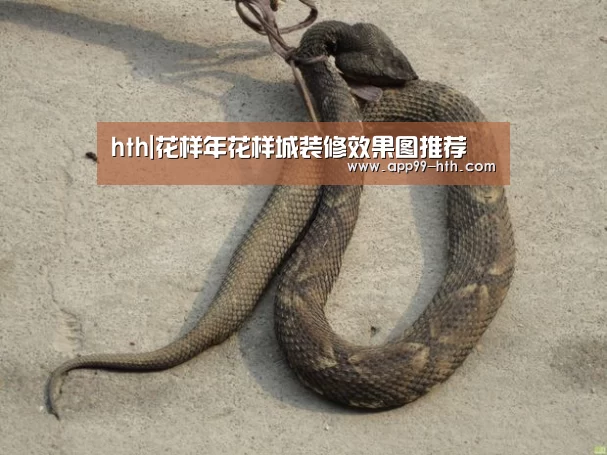 hth|花样年花样城装修效果图推荐(图1) 华体会