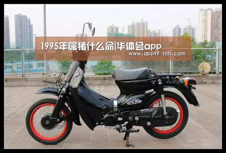 1995年属猪什么命|华体会app(图1) 华体会app
